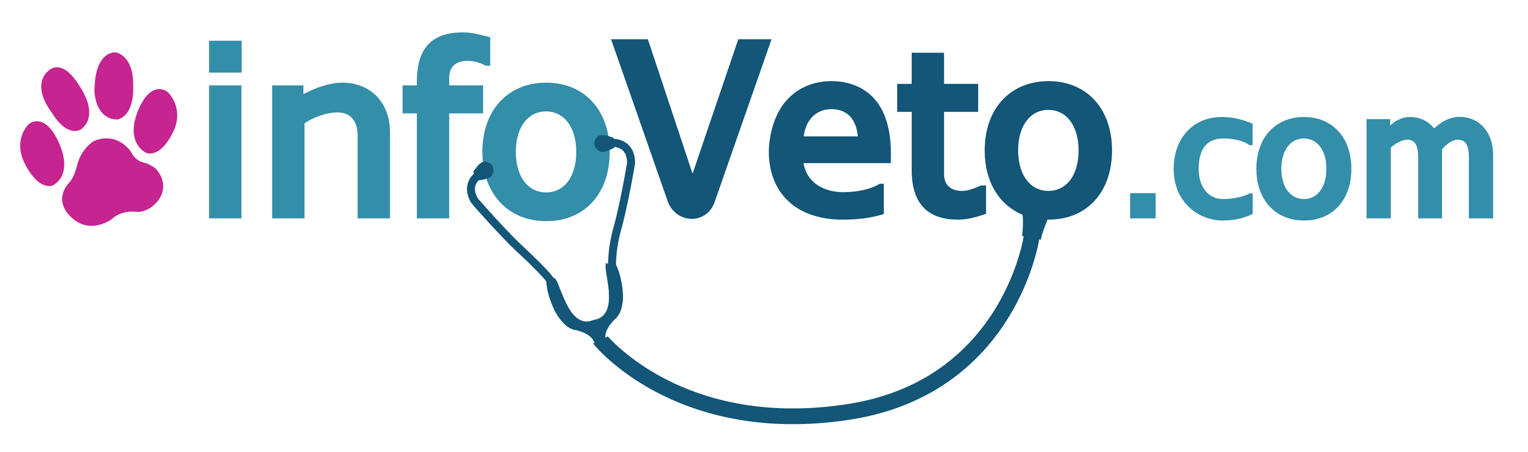 LOGO infoVeto.com